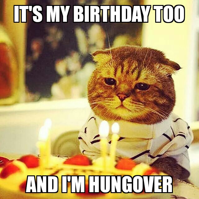 cat birthday memes - happy birthday husband funny - It'S My Birthday Too And I'M Hungover
