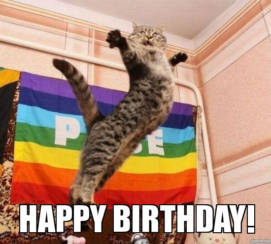 cat birthday memes - funny gay pride - Happy Birthday!