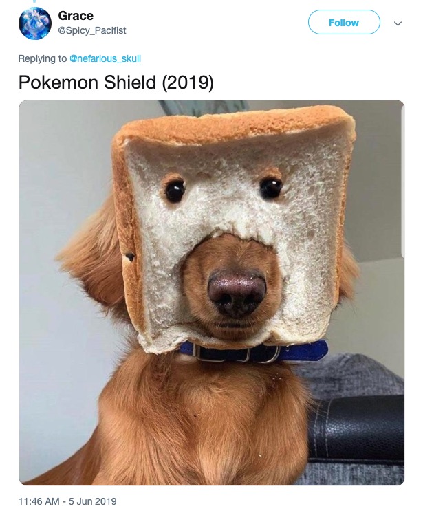 Pokemon Sword and Shield memes - pure bread meme - Grace Pokemon Shield 2019