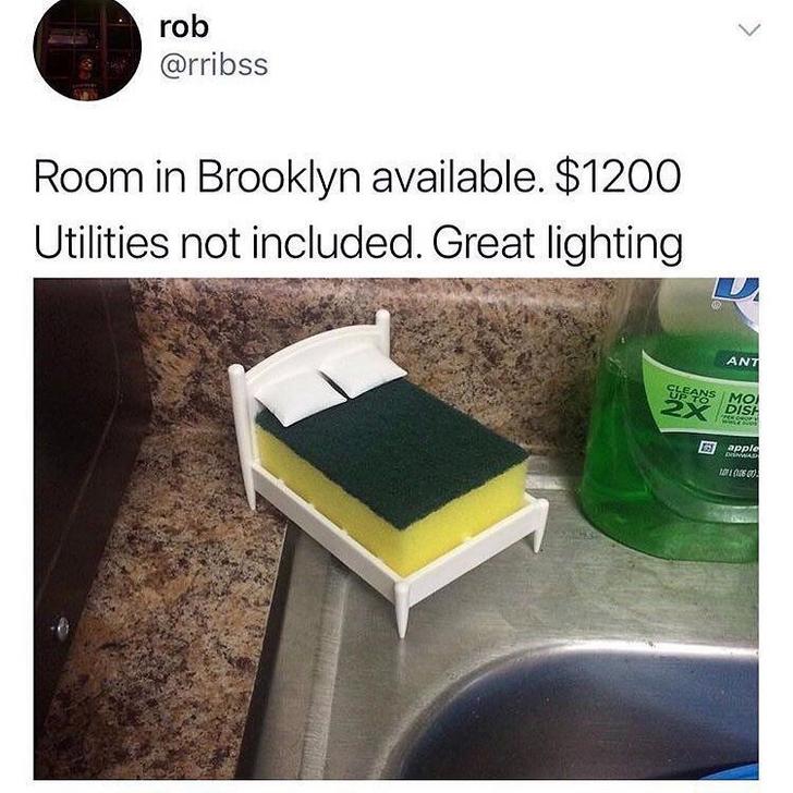london rent meme - rob Room in Brooklyn available. $1200 Utilities not included. Great lighting Ant apple