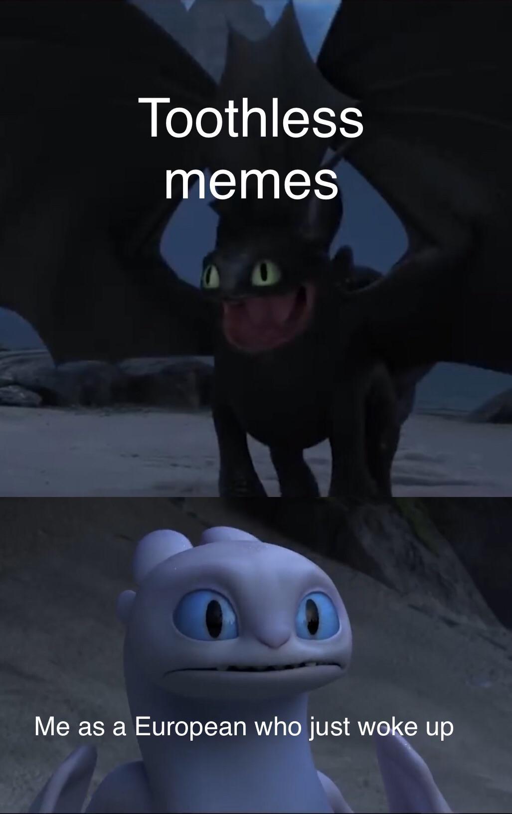 toothless how to train your dragon meme about unsettled toothless meme - Toothless memes Me as a European who just woke up