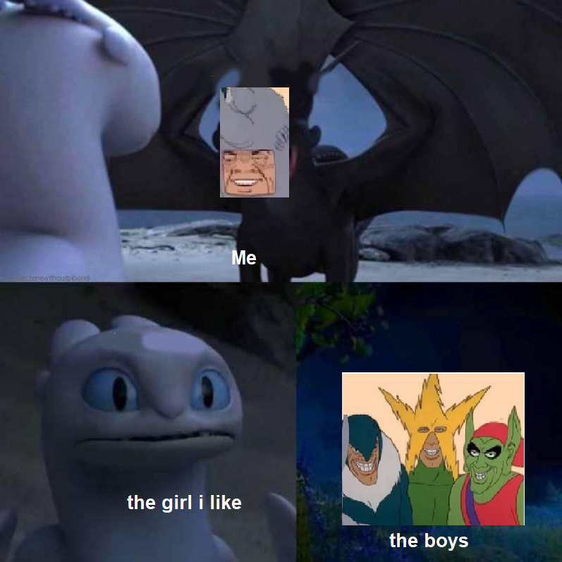 toothless how to train your dragon meme about cartoon - Me the girl i the boys