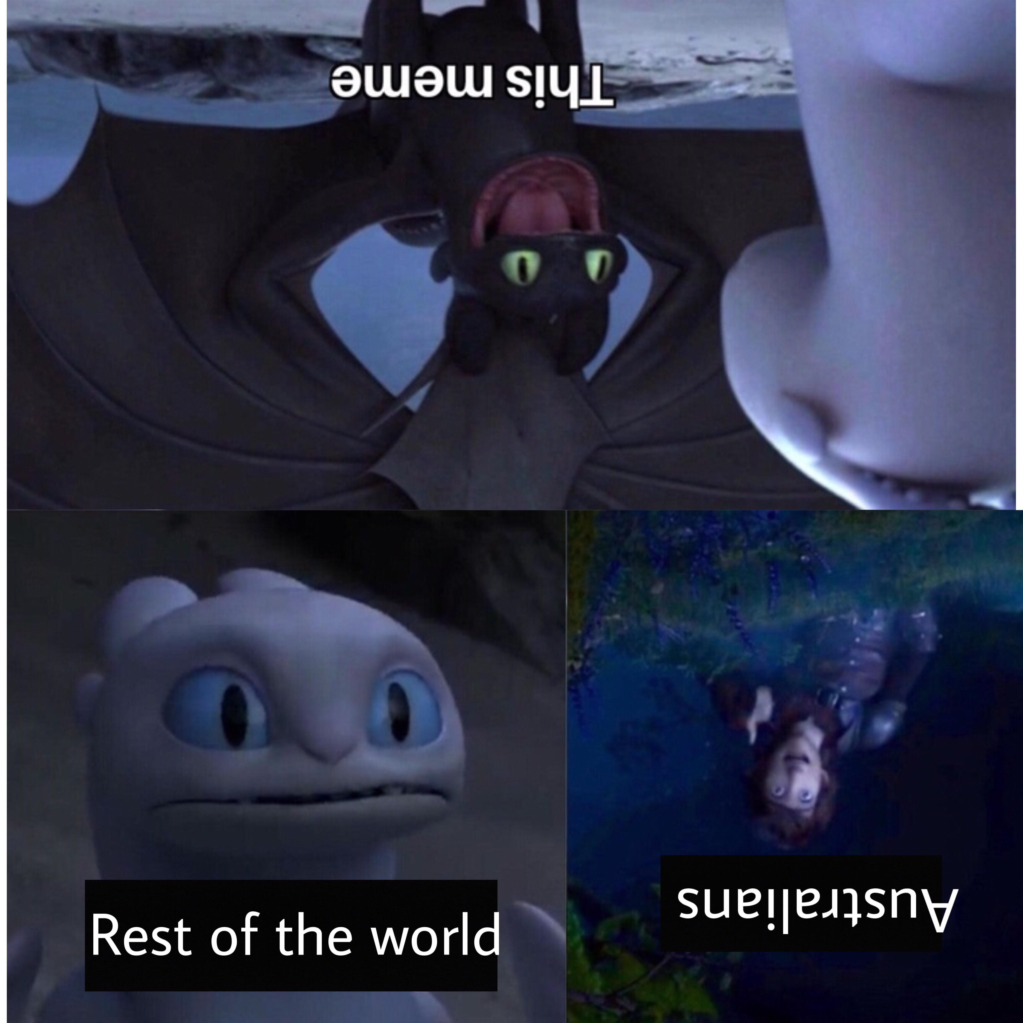 toothless how to train your dragon meme about photo caption - This meme Australians Rest of the world