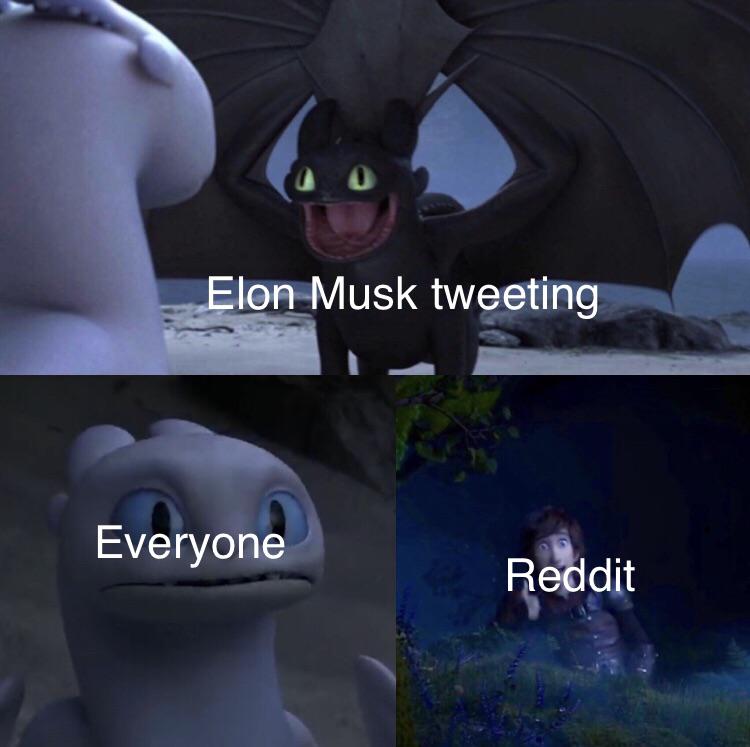 toothless how to train your dragon meme about train your dragon the hidden world toothless - Elon Musk tweeting Everyone Reddit