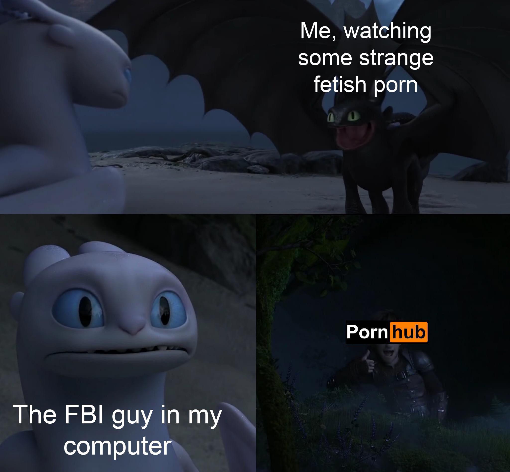 toothless how to train your dragon meme about screenshot - Me, watching some strange fetish porn Porn hub The Fbi guy in my computer