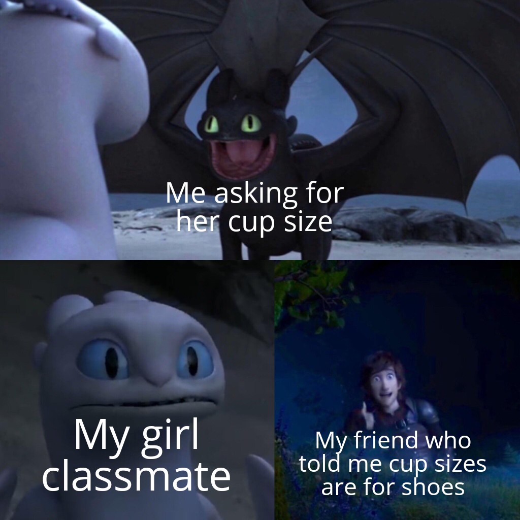 toothless how to train your dragon meme about fictional character - Me asking for her cup size My girl classmate My friend who told me cup sizes are for shoes