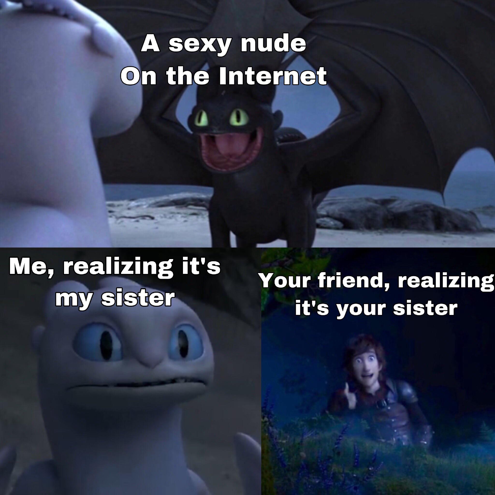 toothless how to train your dragon meme about Meme - A sexy nude On the Internet Me, realizing it's my sister Your friend, realizing it's your sister