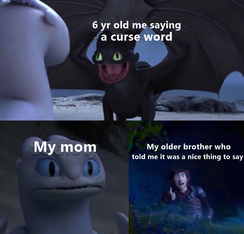 toothless how to train your dragon meme about Meme - 6 yr old me saying a curse word My mom My older brother who told me it was a nice thing to say