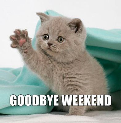 monday work memes - goodbye weekend - Goodbye Weekend