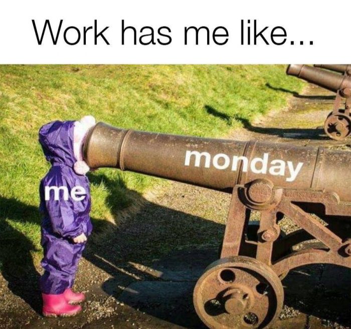 monday work memes - me and monday - Work has me ... monday