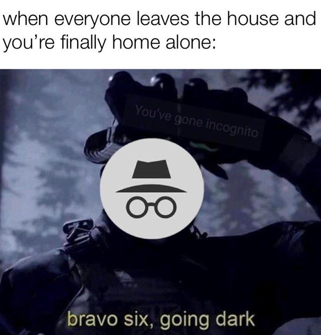 dank memes reddit - Humour - when everyone leaves the house and you're finally home alone You've gone incognito bravo six, going dark
