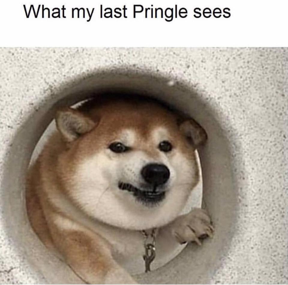clean memes - my last pringle sees - What my last Pringle sees
