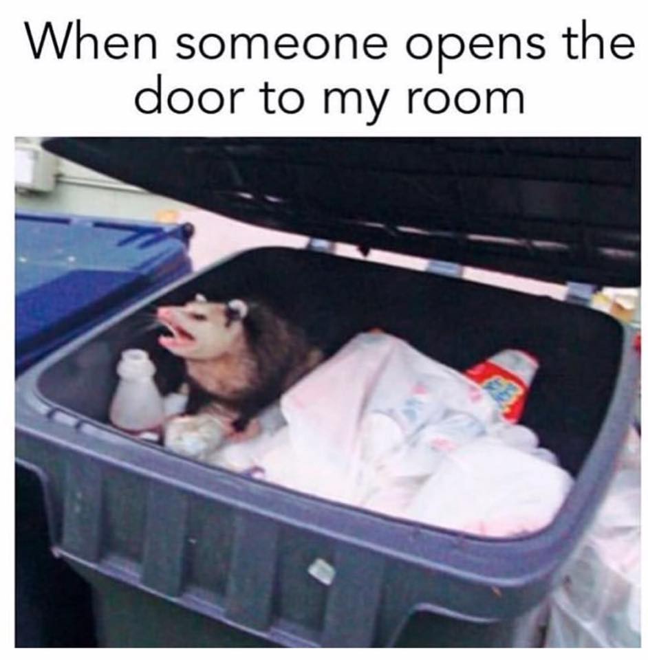 clean memes 2019 - someone opens the door to my room - When someone opens the door to my