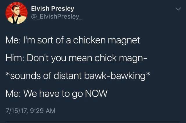 clean memes - i m a chicken magnet - Elvish Presley Me I'm sort of a chicken magnet Him Don't you mean chick magn sounds of distant bawkbawking Me We have to go Now 71517,