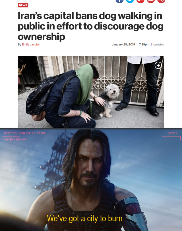 cyberpunk 2077 memes - love - Iran's capital bans dog walking in public in effort to discourage dog ownership By Jacobi Jawy 29, 2019 We've got a city to burn