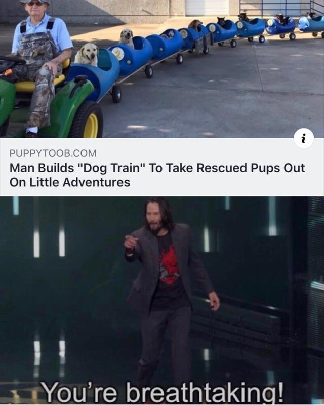wholesome Keanu Reeves meme about dog train - Puppytoob.Com Man Builds