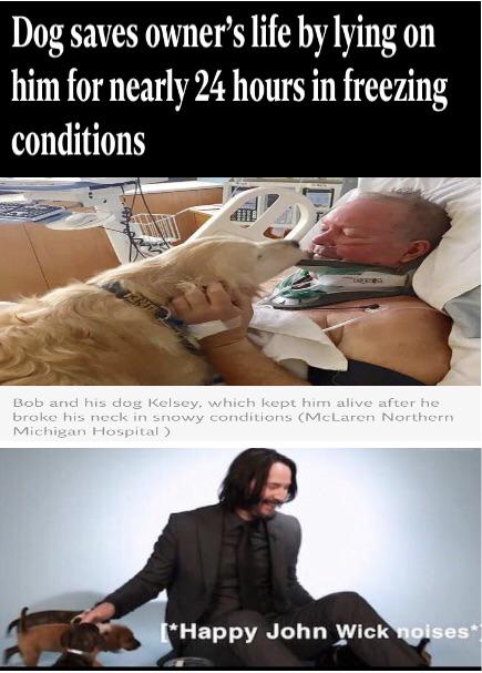wholesome Keanu Reeves meme about drilling engineering - Dog saves owner's life by lying on him for nearly 24 hours in freezing conditions Bob and his dog Kelsey, which kept him alive after he broke his neck in snowy conditions McLaren Northern Michigan H