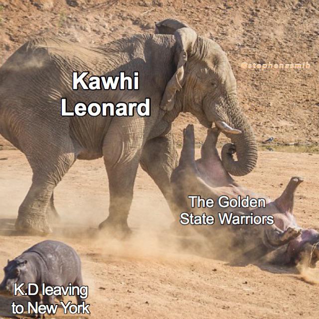 funny nba finals meme that about angry bull elephant - Kawhi Leonard The Golden State Warriors K.D leaving to New York