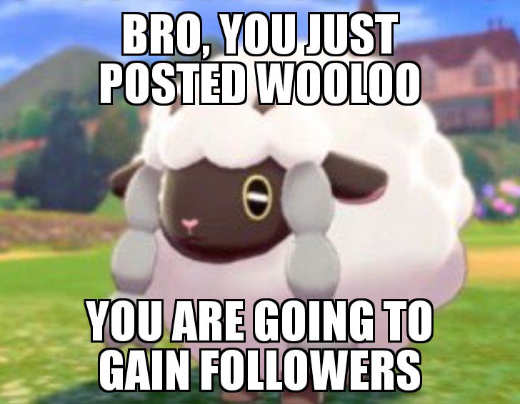 wooloo memes about manly tears were shed - Bro, You Just Posted Wooloo You Are Going To Gain ers
