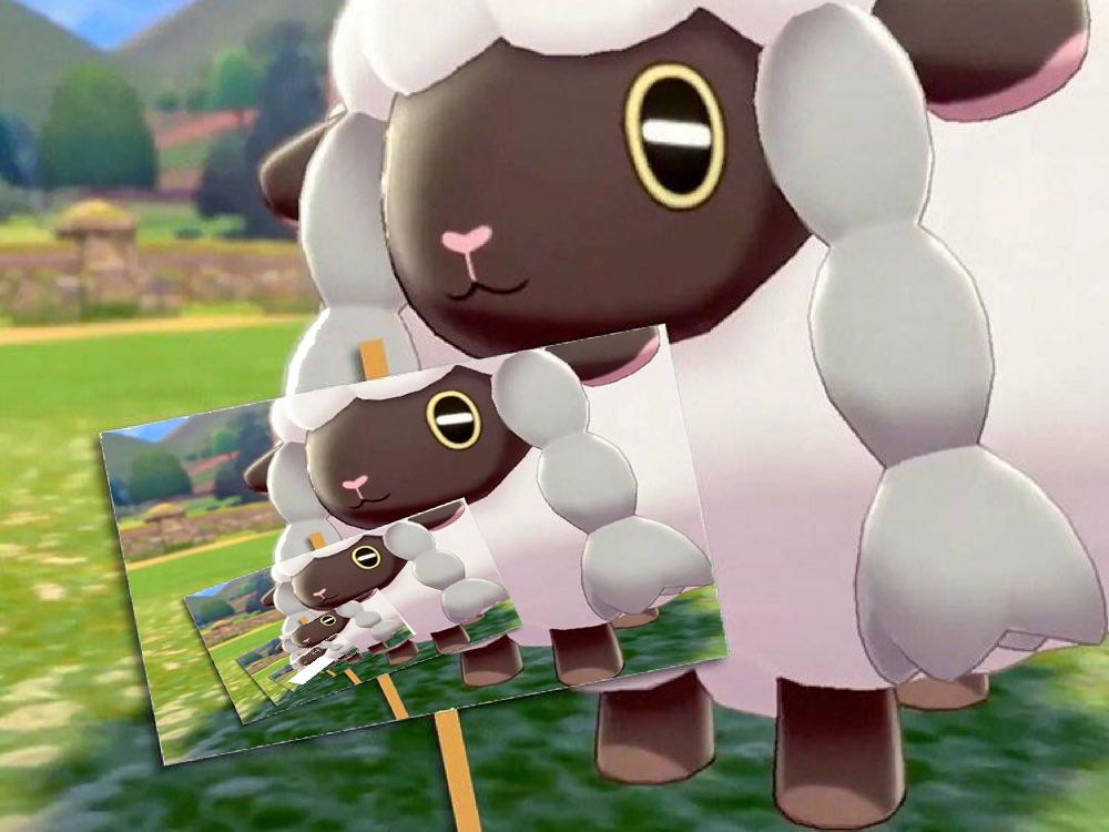wooloo memes about Pokémon Sword and Shield