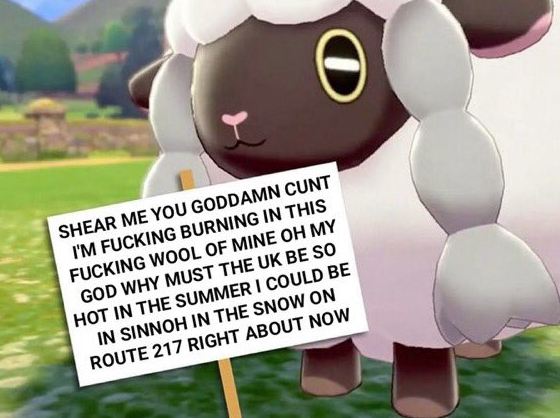 wooloo memes about Pokémon Sword and Shield - Shear Me You Goddamn Cunt I'M Fucking Burning In This Fucking Wool Of Mine Oh My God Why Must The Uk Be So Hot In The Summer I Could Be In Sinnoh In The Snow On Route 217 Right About Now