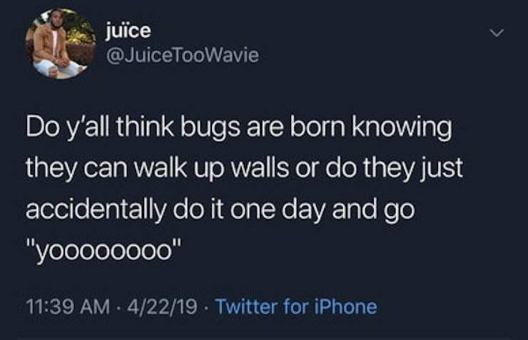 i m not owned aoc corn cob - juce Do y'all think bugs are born knowing they can walk up walls or do they just accidentally do it one day and go