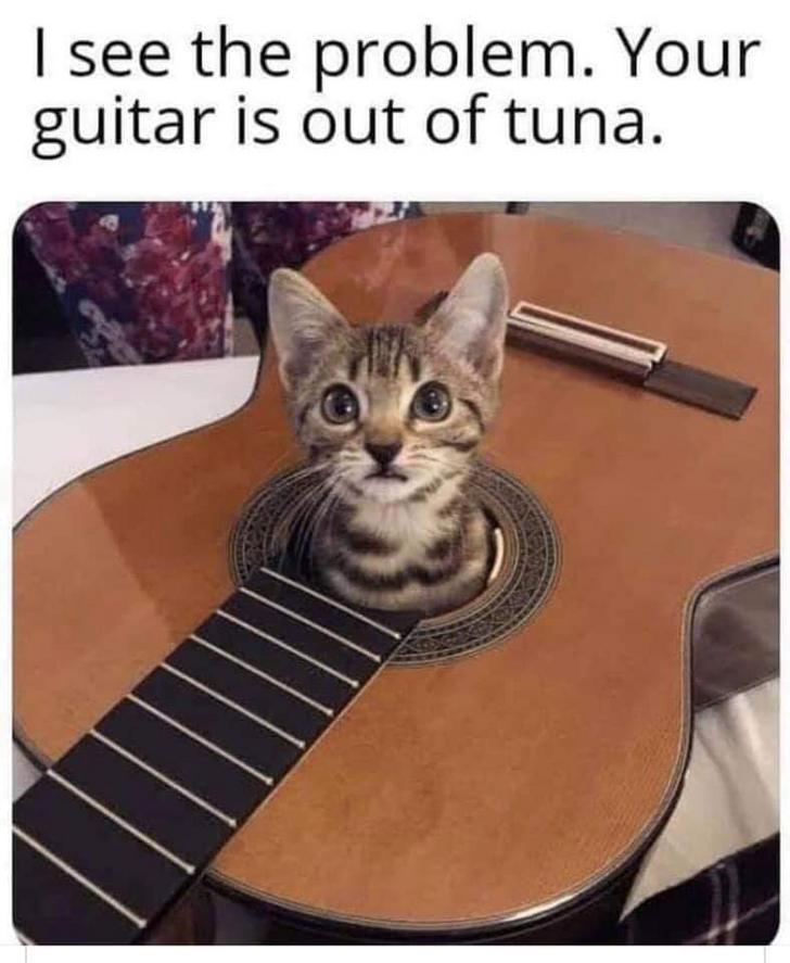 see the problem your guitar is out - I see the problem. Your guitar is out of tuna.