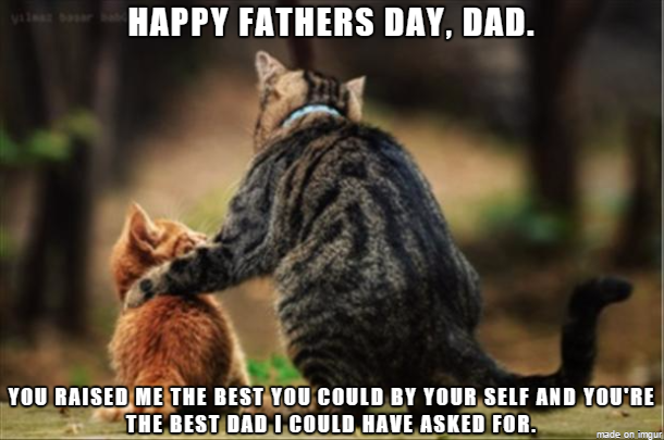 meme Father's day meme about old cat - within a Happy Fathers Day, Dad. You Raised Me The Best You Could By Your Self And You'Re The Best Dad I Could Have Asked For. made on imgur