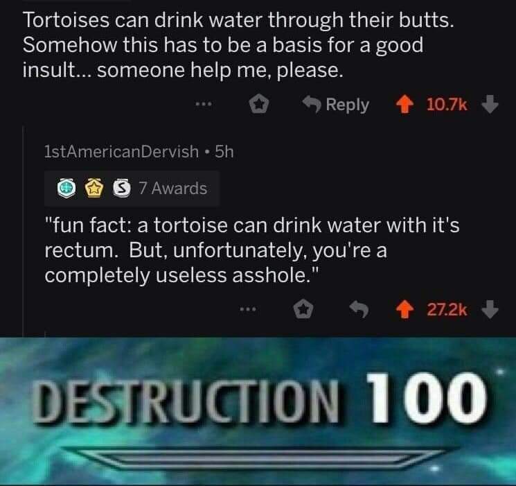 multimedia - Tortoises can drink water through their butts. Somehow this has to be a basis for a good insult... someone help me, please. ... 1stAmericanDervish 5h O 37 Awards "fun fact a tortoise can drink water with it's rectum. But, unfortunately, you'r
