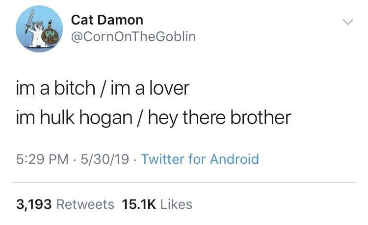 angle - Cat Damon im a bitch im a lover im hulk hogan hey there brother . 53019 . Twitter for Android 3,193