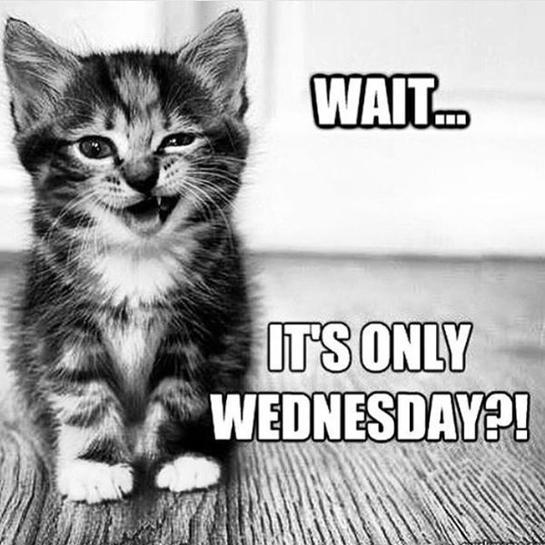 Wednesday humpday meme - wednesday funny meme - Wait. It'S Only Wednesday!