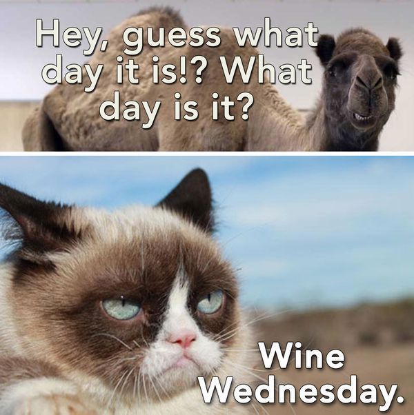 Wednesday meme - bryant-denny stadium - Hey, guess what day it is!? What day is it? Wine Wednesday.