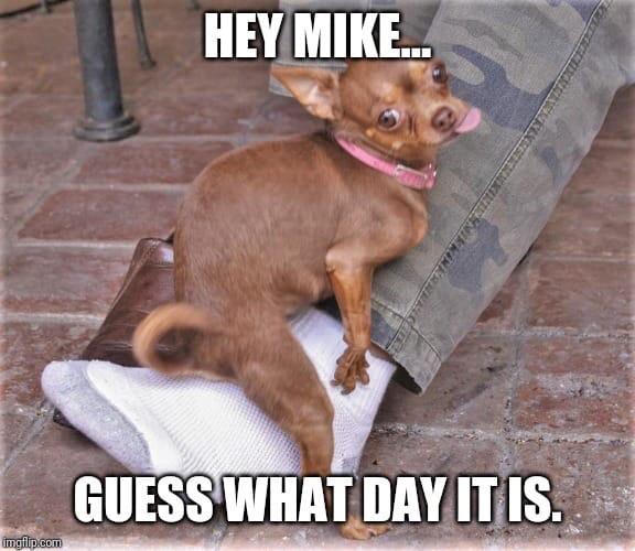 Wednesday humpday meme - donald hump - Hey Mike.. Eressatsikinstrumeline Guess What Day It Is. imgflip.com