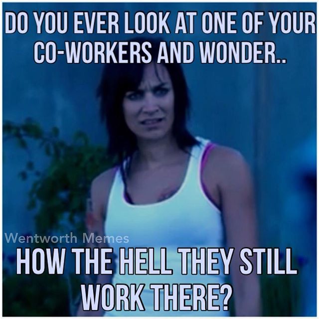work meme - funny wentworth meme - Do You Ever Look At One Of Your CoWorkers And Wonder.. Wentworth Memes How The Hell They Still Work There?