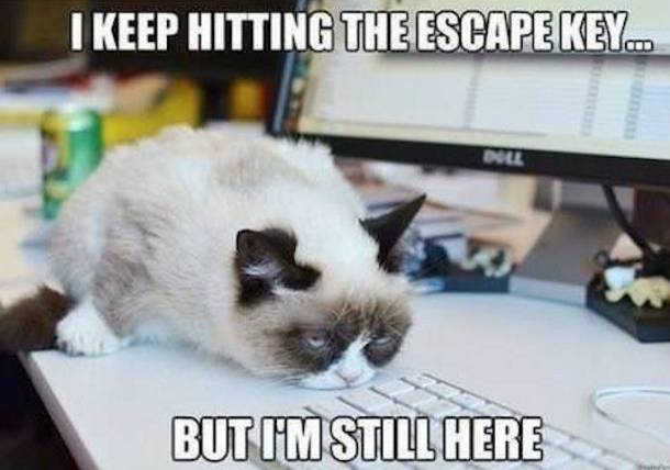 work meme - grumpy cat fun - I Keep Hitting The Escape Key... But I'M Still Here