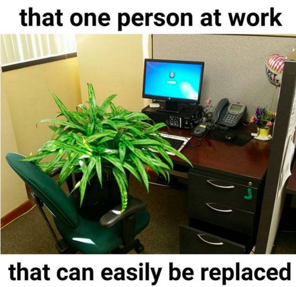work meme - one person at work meme - that one person at work that can easily be replaced