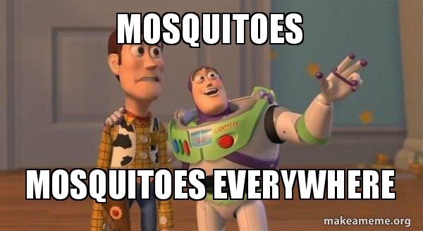 Mosquito meme that says Mosquitoes Mosquitoes Everywhere makeameme.org