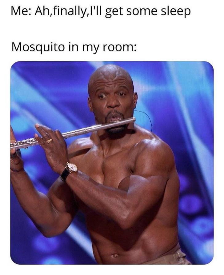 Mosquito meme that says 'Me Ah, finally, I'll get some sleep Mosquito in my room' and shows a picture of Terry Crews playing a flute