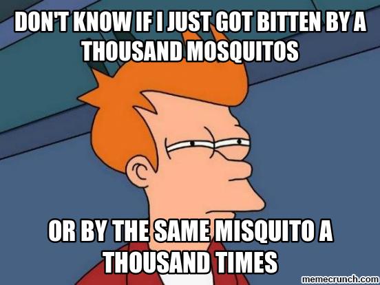 Mosquito meme that says Dont Know If I Just Got Bitten By A Thousand Mosquitos Or By The Same Misquito A Thousand Times memecrunch.com