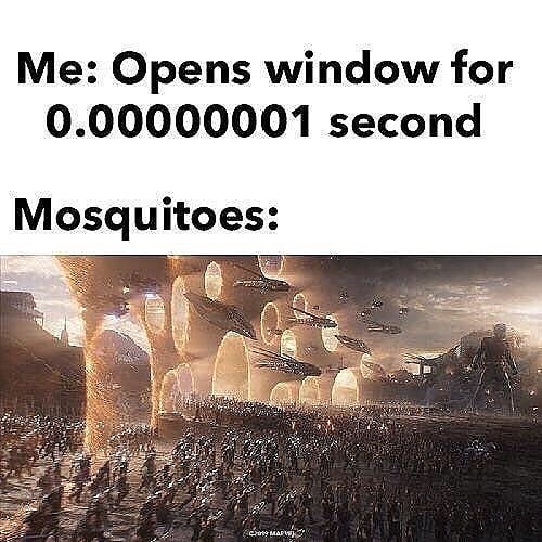 Mosquito meme that says avengers endgame final battle portals - Me Opens window for 0.00000001 second Mosquitoes