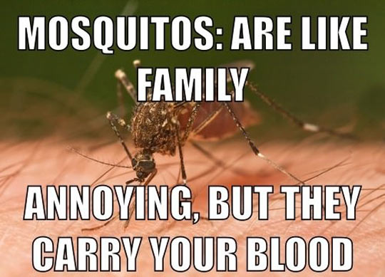 Mosquito meme that says annoying family members meme - Mosquitos Are Family Annoying, But They Carry Your Blood