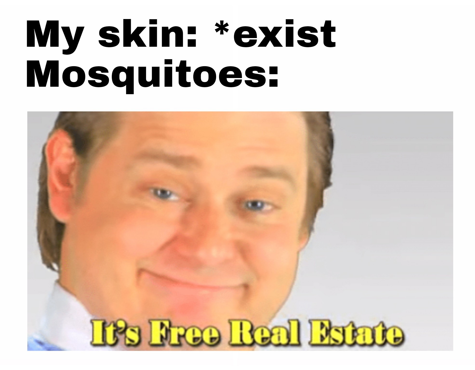 Mosquito meme that says mosquito free real estate meme - My skin exist Mosquitoes It's Free Real Estate