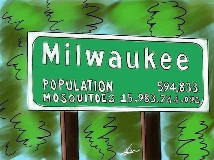 Mosquito meme that says