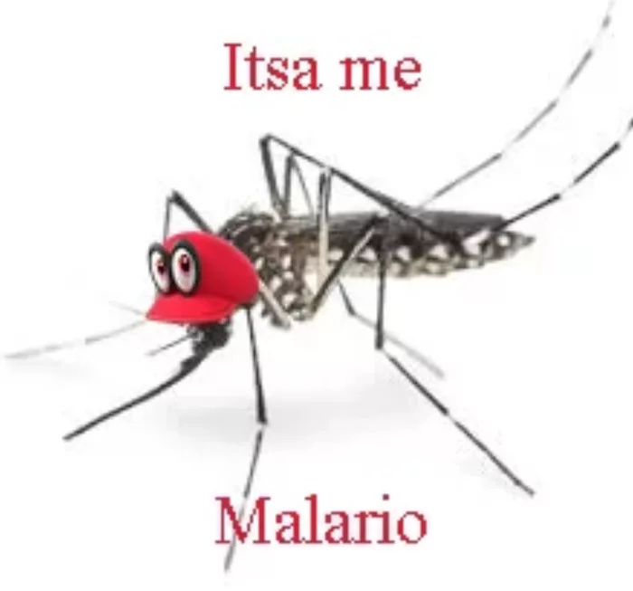 Mosquito meme that says mario malaria