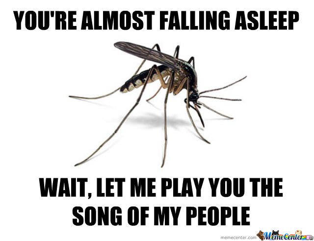 Mosquito meme that says mosquito meme - You'Re Almost Falling Asleep Wait, Let Me Play You The Song Of My People memecenter.com MemeCenters