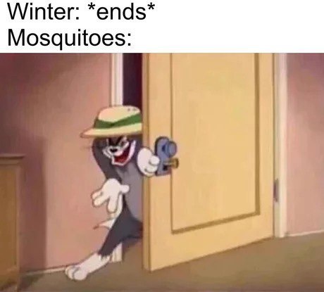 Mosquito meme that says tom and jerry mosquito meme - Winter ends Mosquitoes