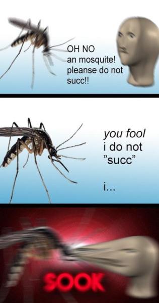 Mosquito meme that says mosquito sook meme - Oh No an mosquite! pleanse do not succ!! you fool i do not