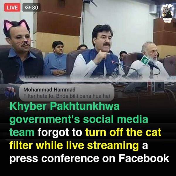 Pakistan - Live O 80 ameen Mohammad Hammad Filter hata lo. Bnda billi bana hua hai Khyber Pakhtunkhwa government's social media team forgot to turn off the cat filter while live streaming a press conference on Facebook