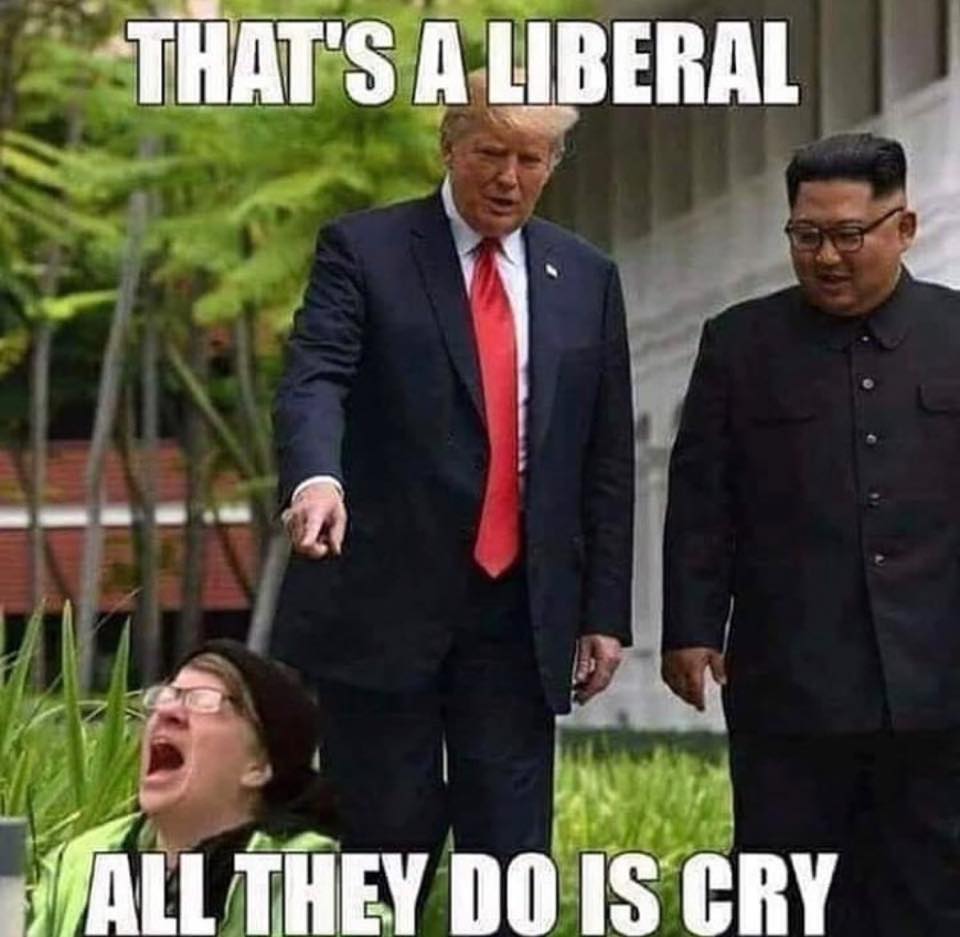Trump memes - thats a liberal - That'S A Liberal All They Do Is Cry