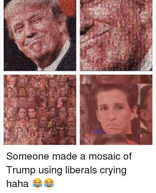 Trump memes - trump liberals crying - Someone made a mosaic of Trump using liberals crying haha